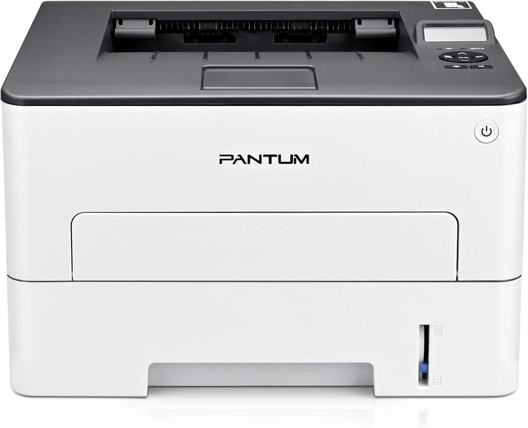 Pantum L2300DW