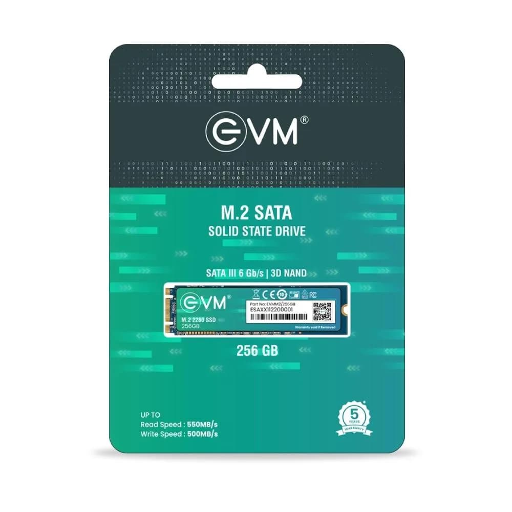 EVM 256GB M.2 2242 SATA III Internal SSD